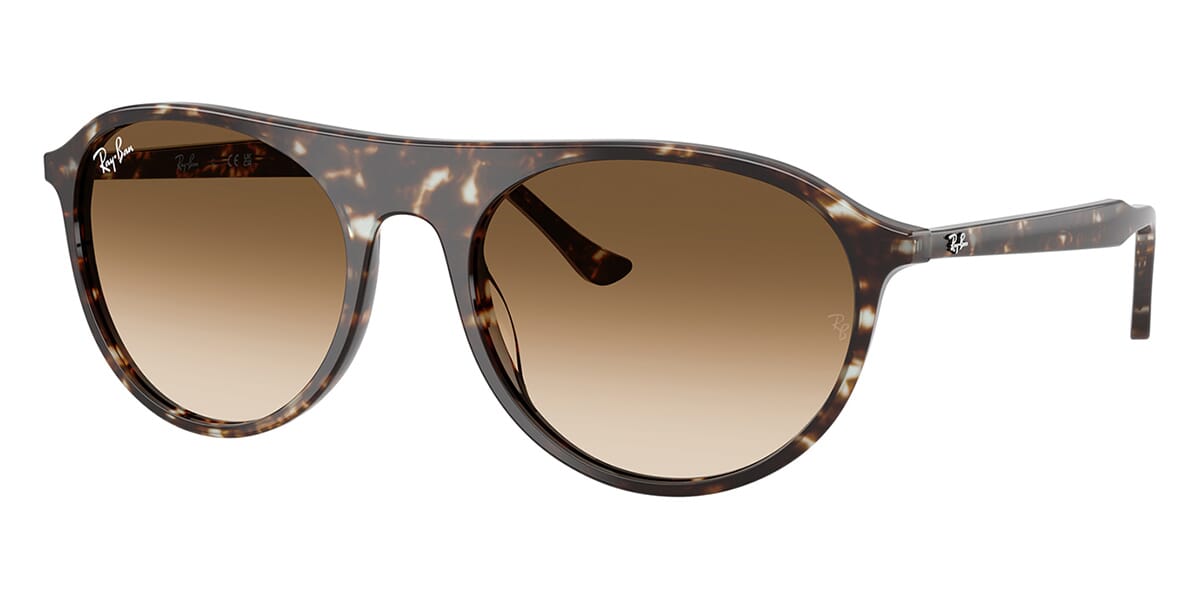 Ray-Ban RB 2215 1431/51